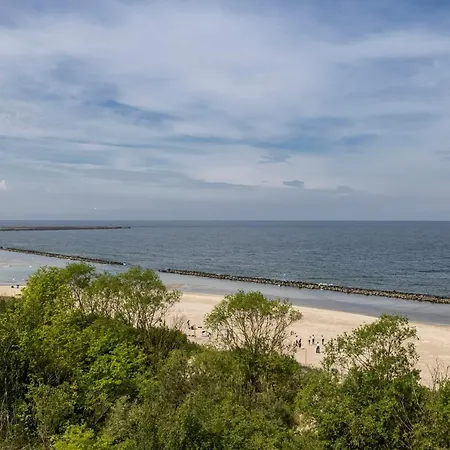 601 Natural Baltic * ダルウフコ