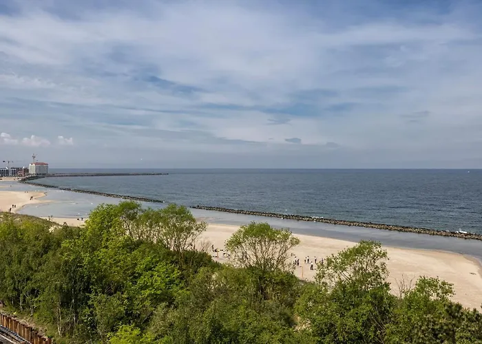 601 Natural Baltic * ダルウフコ